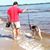 Sea Paws's profile image