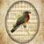 Helen Lysicatos's profile image