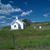 Vickie Whitehead's profile image