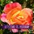 Gail McMahan Long's profile image