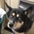 Charlie Meza's profile image