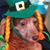 Kathy Schulze Sloan's profile image