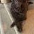 Janice Schaller Focosi's profile image