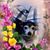 Rosalie Sobiesiak's profile image