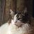 Kathy Niehaus Dempsey's profile image
