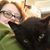 Kim Dewey's profile image