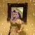 Ghislaine Sopher-Phillips's profile image