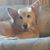 Lou Ann Bergey's profile image