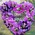 Cynthia Leonard Crear's profile image