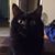 Marty Mitchell-Netting's profile image