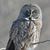 Cynthia Huebschen's profile image