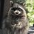 Lynn Carr's profile image