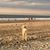 Doraine Pomponio's profile image