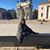 Vilma M Himel's profile image