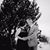 Julie McBride's profile image
