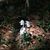 Sue Spencer's profile image