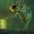 Amy Levine's profile image