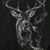 Jerry Bustin's profile image