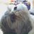 Deborah Haase's profile image