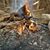 Kathy Christian McAllister's profile image