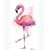 Andrea Shafer's profile image