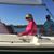 Debi Chastain Blankenship's profile image