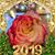 Diana Nancy De Leon's profile image