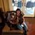 Lisa Carriere Prather's profile image