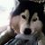 Puy Kamonpan's profile image