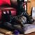 Sonya Campbell's profile image