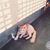 Humayra Tasnim's profile image