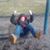 Terry Tackitt's profile image