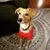 Kimberly Pinkiewicz's profile image