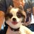 Stella Bella's profile image