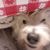 Martha Wilson's profile image