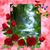 Lizbeth Arcibe's profile image