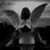 Anastasia Larisa's profile image