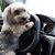 Nancy M. Kelly's profile image