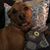 Jessica Novak's profile image