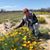 Anne-Marie Argentino Moore's profile image