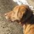 Mark Alan Richards's profile image