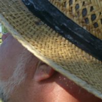 Ali Bahr's profile image