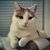 Elizabeth Paskvan's profile image