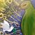 Julie De La Mora's profile image