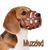 Sam Bardo's profile image
