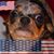 Kat Burnett's profile image