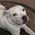 Christine Johnson's profile image
