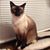 Louise Elliott's profile image
