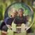 LaCheryl Beeks's profile image