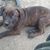 Sherry Keifer's profile image